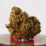 Grape Jelly Donut1